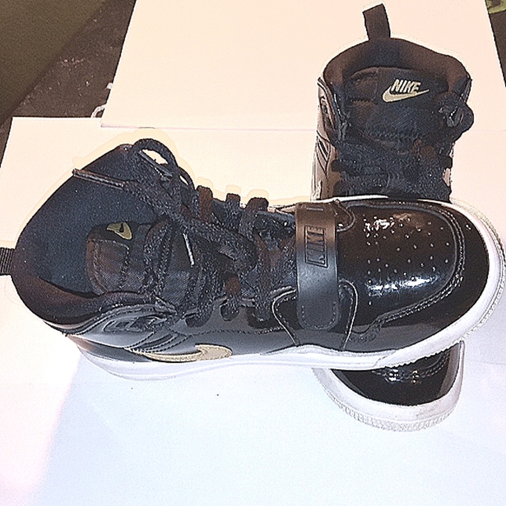 The Air Jordan Legacy 312
